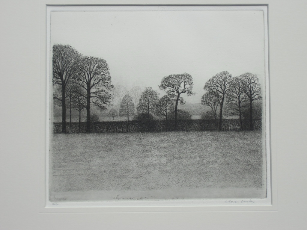 RHIJNAUWEN  //  ETS VAN CHARLES DONKER kopen? Bied vanaf 160!