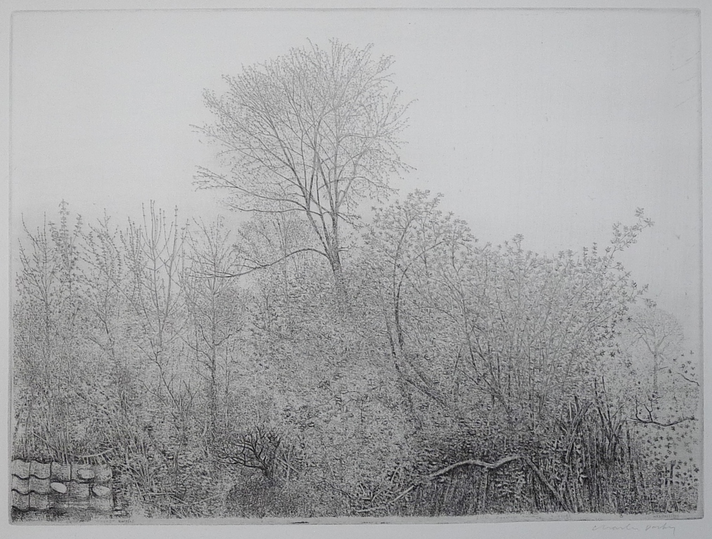 Charles Donker, Ets, Aanwas in Rhijnauwen met dankpannen, 1980 3e staat verkocht voor € 125!