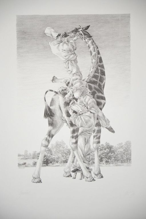 Peter Vos: Litho. Gevoelens verkocht voor € 80!