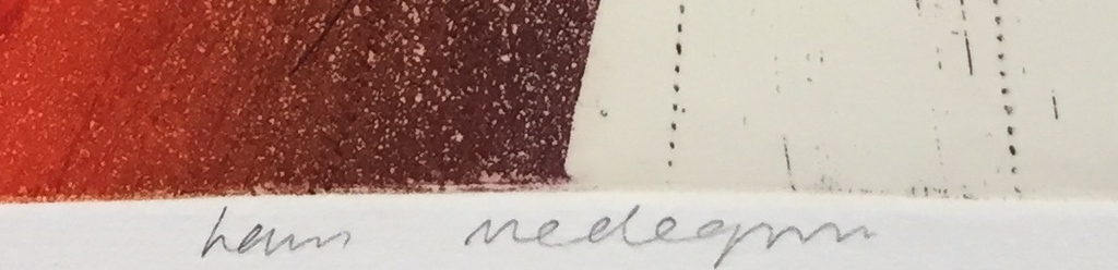 Hans Vredegoor, kleurenets, KLEINE OPLAGE, 1996 kopen? Bied vanaf 59!