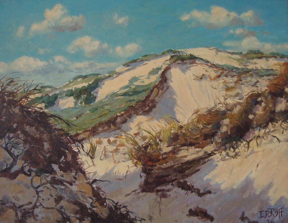 Eduard Rijff (1915-1994) - Olieverf mooi duingezicht verkocht voor € 145!