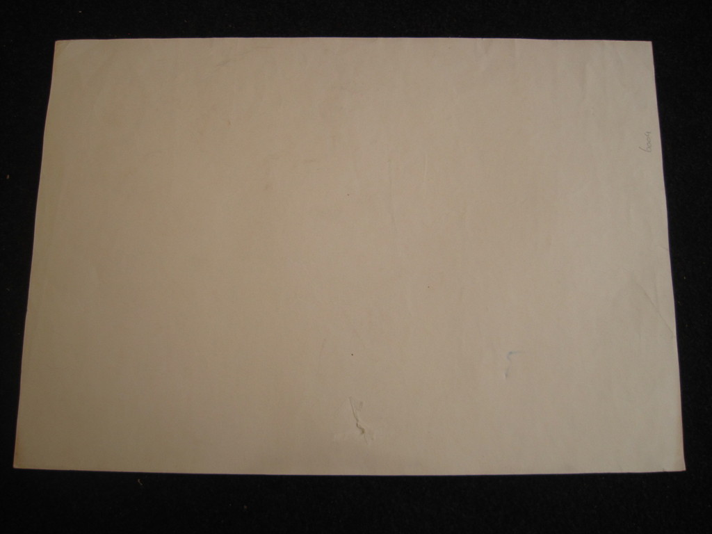 Originele in 1928 Gesigneerde litho "Duinlandschap" van Dordrecht Henk Voskuyl  kopen? Bied vanaf 1!