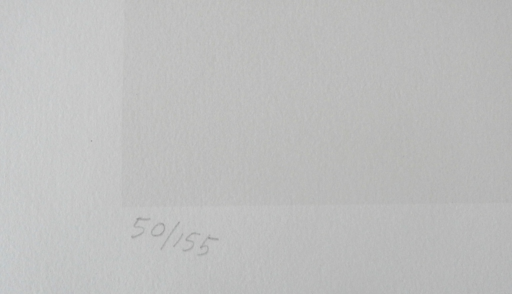 Klaas Gubbels - Zeefdruk: Verlegen Schaduwen 4 - 1981 kopen? Bied vanaf 75!