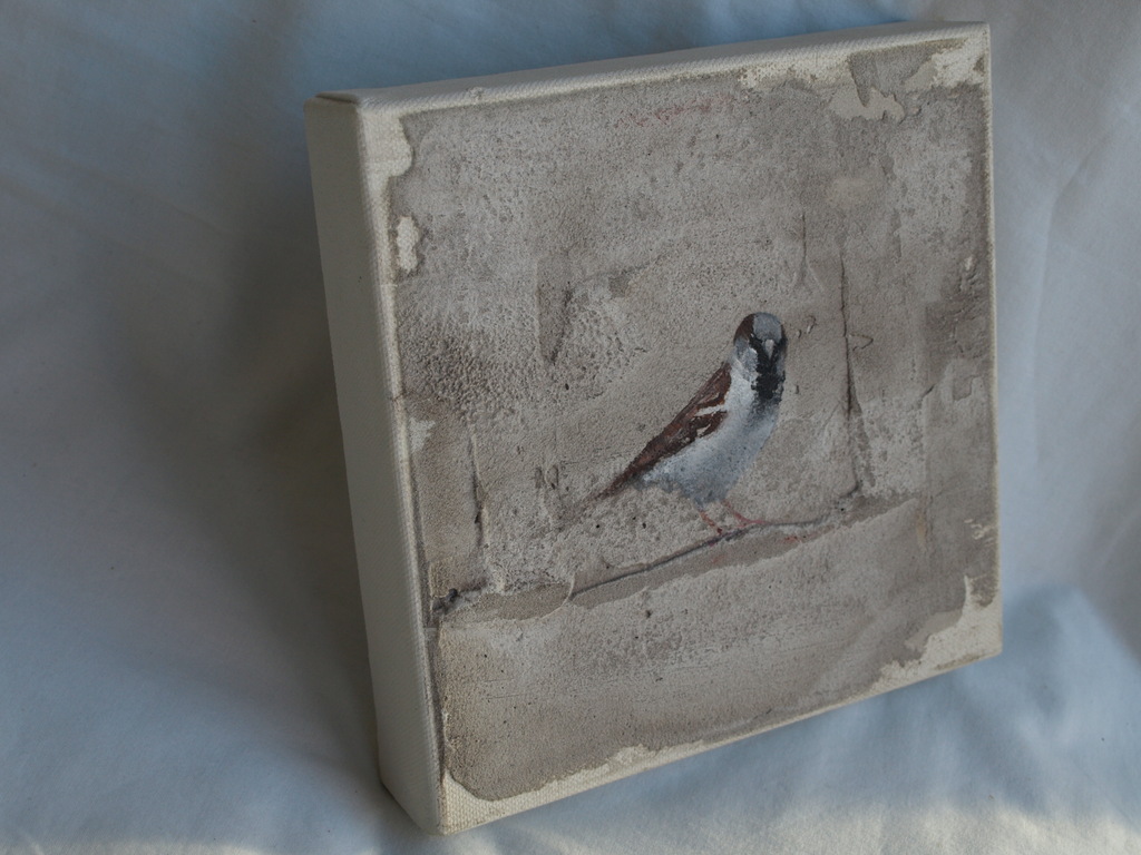 Jan Grotenbreg : Acrylverf en cement op doek , Huismus – gesigneerd – ca 2005 kopen? Bied vanaf 125!