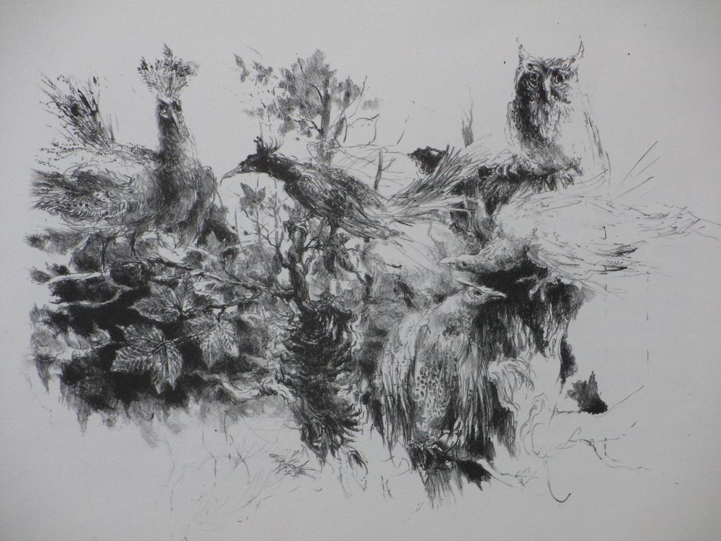Jan Mensinga, Vogels en een uil, Litho verkocht voor € 45!