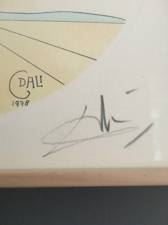 Salvador Dali, Kleurenlitho ,  handgesigneerd en genummerd, Weegschaal kopen? Bied vanaf 150!