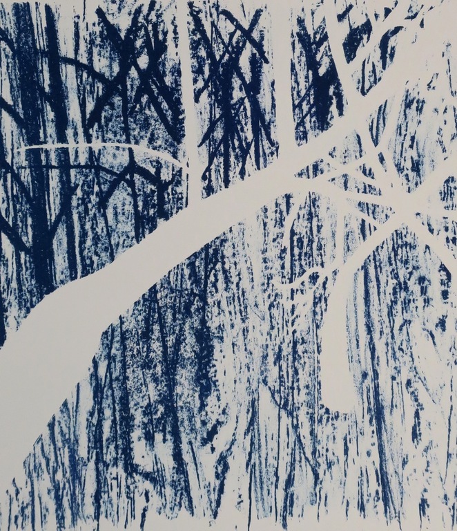Dorian Hiethaar: Litho, Blauw bos kopen? Bied vanaf 1!