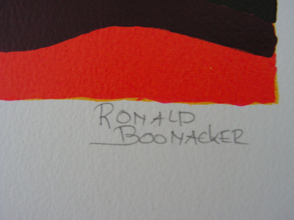 Ronald Boonacker - zeefdruk - Rooibos bult - oplage 80 kopen? Bied vanaf 1!
