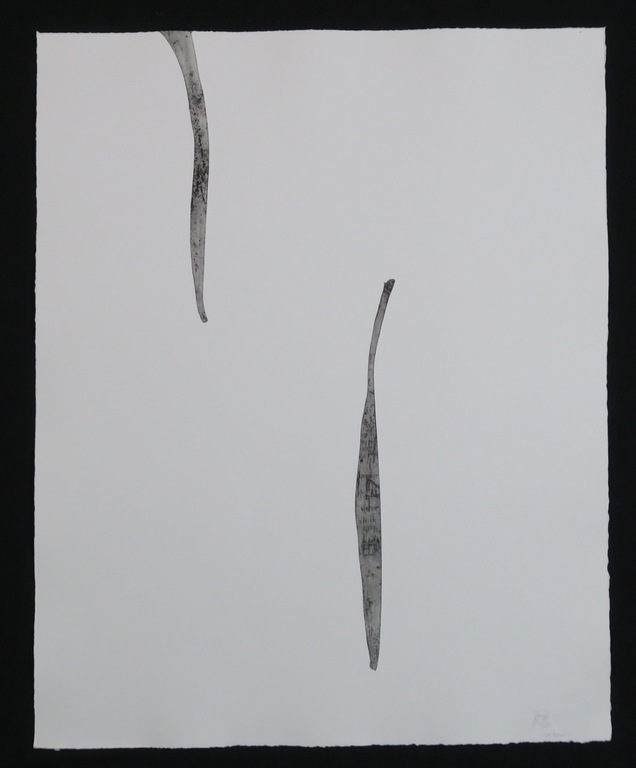 Cassette met 12 etsen van Ron Rooymans: Crevenish 1977 kopen? Bied vanaf 60!