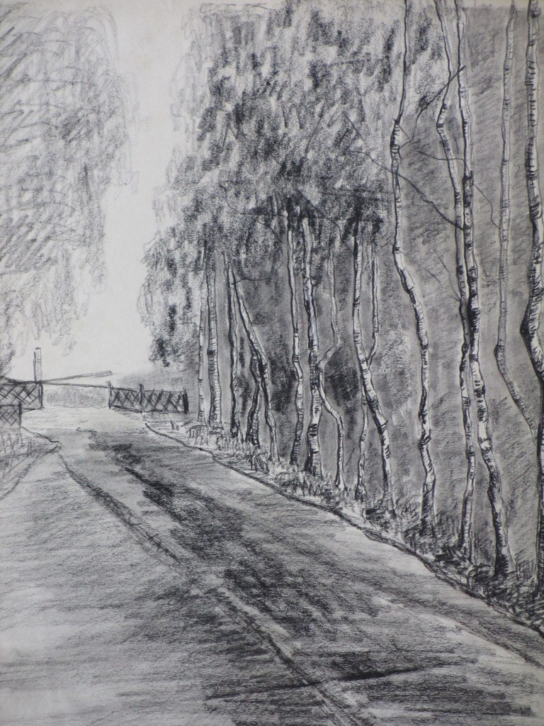 Antoinette van Hoytema, Bomenlaantje, Tekening kopen? Bied vanaf 1!