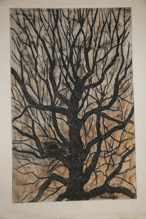 Dick van Luijn, kleurenets, Boom met Duivennest kopen? Bied vanaf 40!