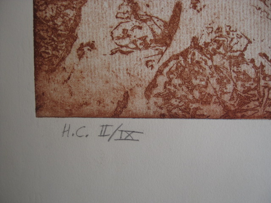 Fraaie gedetailleerde Litho van Spaans Hollandse graficus Manuel Menan 1946-1994 kopen? Bied vanaf 1!