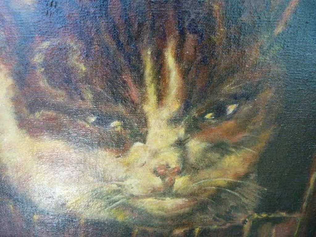 Onbekend (20e eeuw) - Poes kopen? Bied vanaf 1!