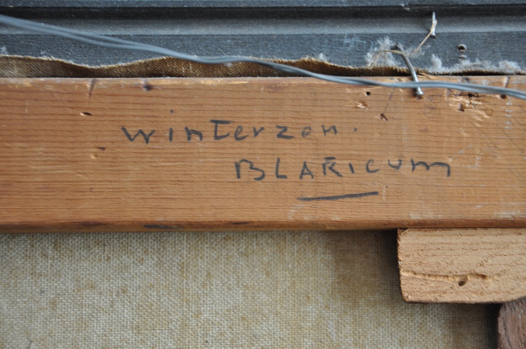 Willem Noordijk - Winterzon kopen? Bied vanaf 349!