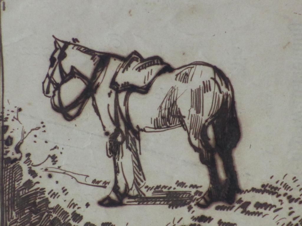 Jan van Essen, Staand paard, Inkttekening kopen? Bied vanaf 1!
