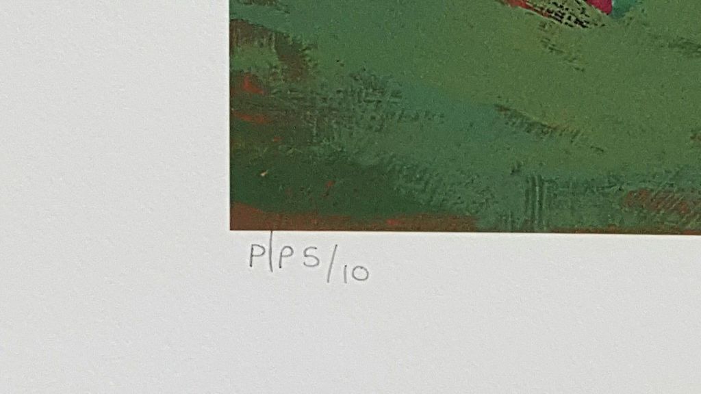 PAUL POWIS - COLORFUL WORLD, Litho, handgesigneerd en genummerd, nr 5 van 10 PP kopen? Bied vanaf 1!