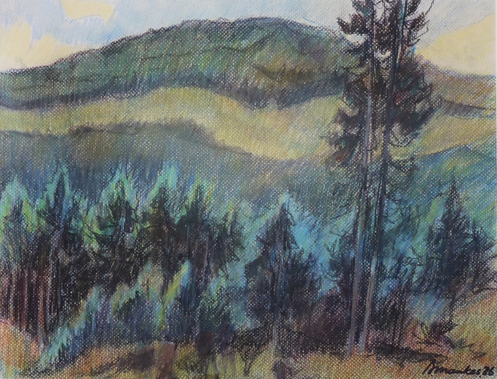 Beint Mankes, Kleurtekening, Naaldbomen en bergen, 1986. kopen? Bied vanaf 55!