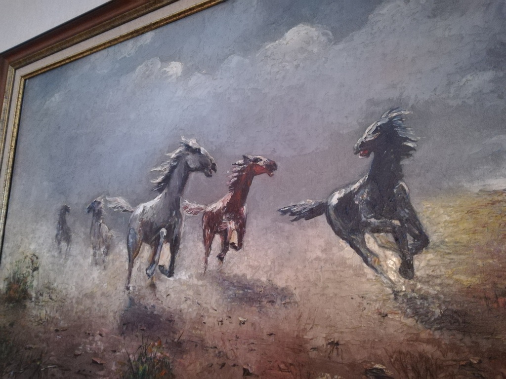 Paarden kopen? Bied vanaf 200!