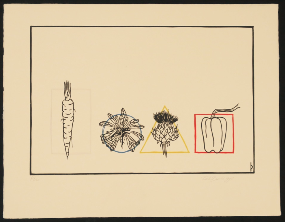 Pieter Becks: Lino, Z.T. groente kopen? Bied vanaf 1!