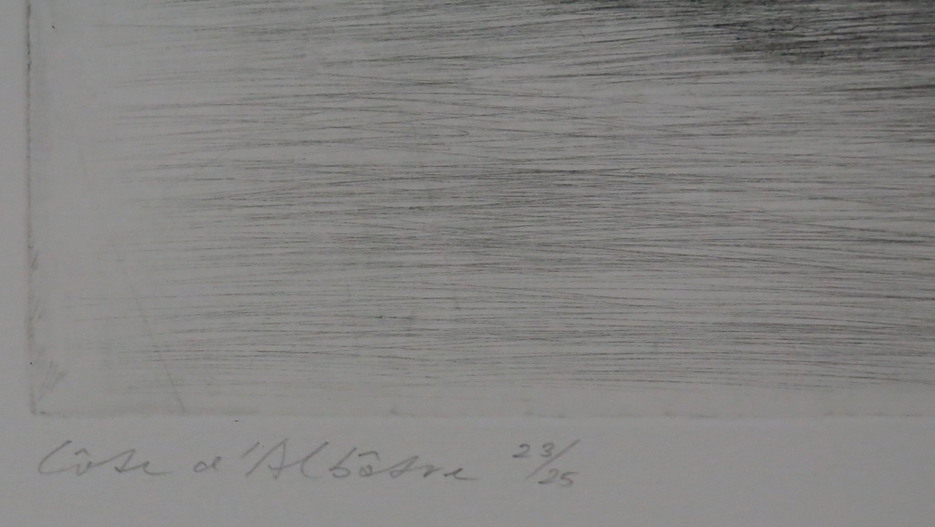 Jan Hein van Rooy: Ets, Cote d'Albatre kopen? Bied vanaf 1!