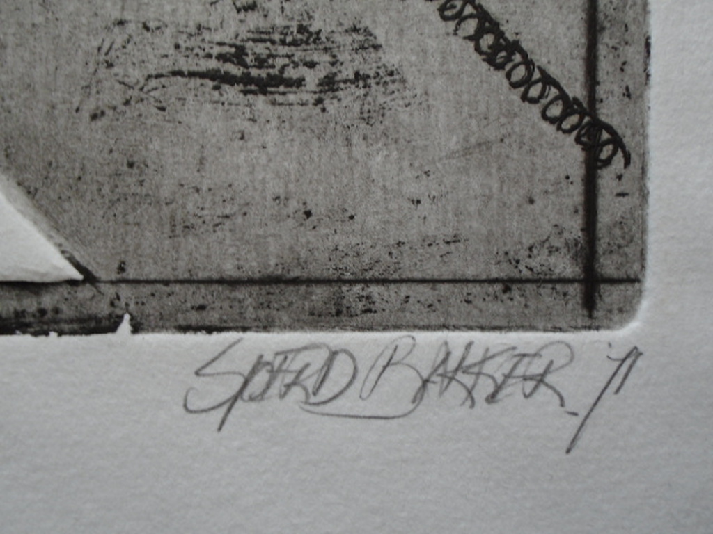 Sjoerd Bakker - kleurenets - Man achter bureau met telefoonhoorn kopen? Bied vanaf 30!