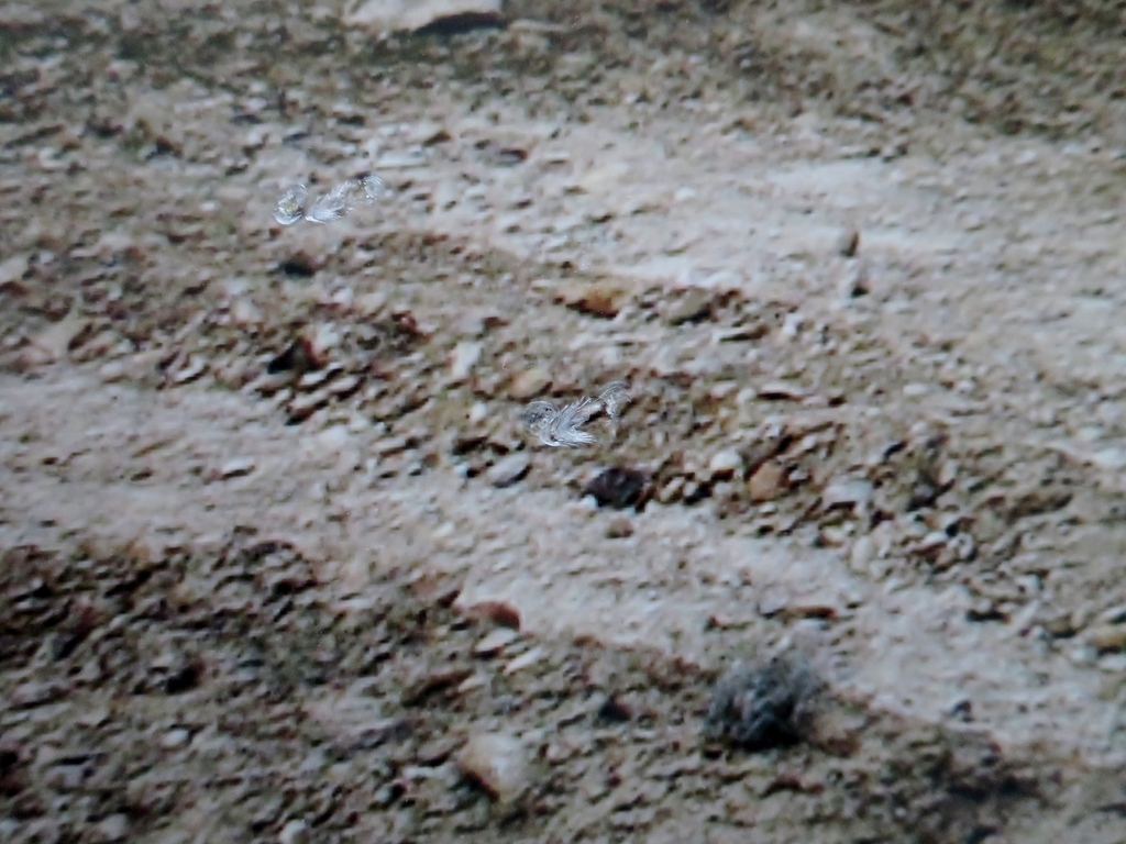 Hans Stakelbeek (1965) | Lambdaprint op Aluminium | Afghanistan - zeer groot! kopen? Bied vanaf 1!