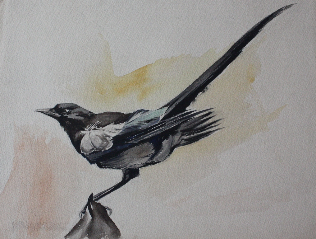 Herman Prins, Pentekening:  kopen? Bied vanaf 1!