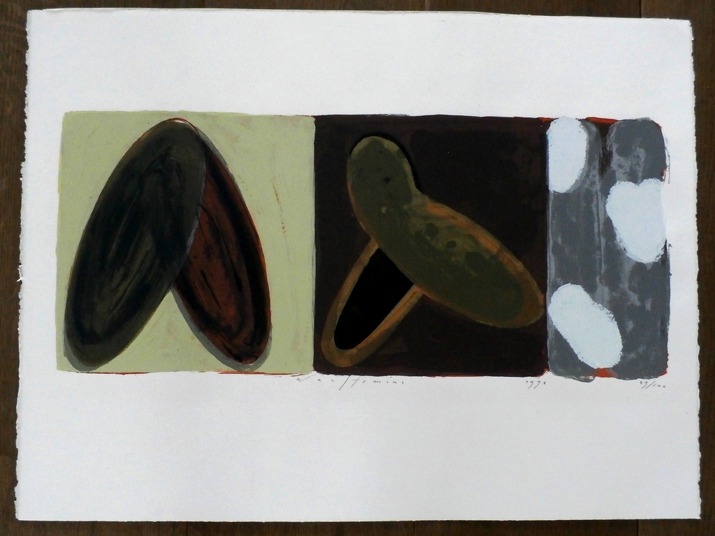 Piet Warffemius - zeefdruk - 1994 kopen? Bied vanaf 60!