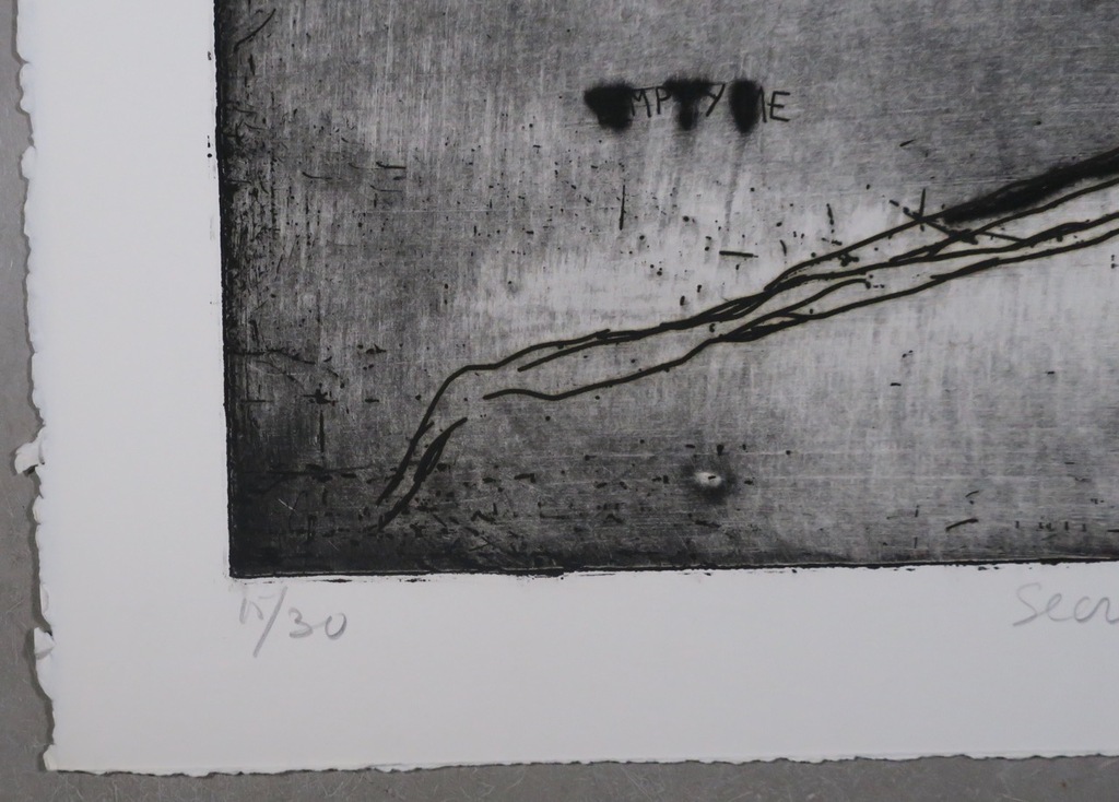 Frank van Hemert: Ets, Secret survivors II kopen? Bied vanaf 50!