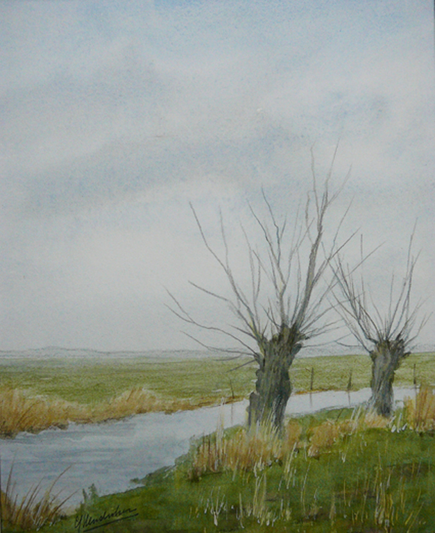 Gert Hendriksen: Knotwilgen in Hollands weidelandschap -aquarel- verkocht voor € 35!