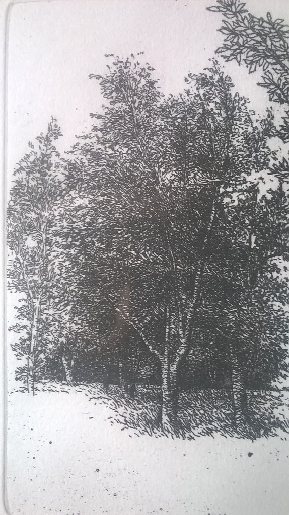 Kees Stoop, Geen titel  Ets, genummerd  kopen? Bied vanaf 25!