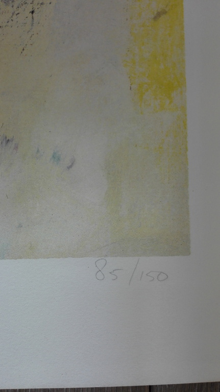 Charlotte Molenkamp, zeefdruk op papier kopen? Bied vanaf 75!