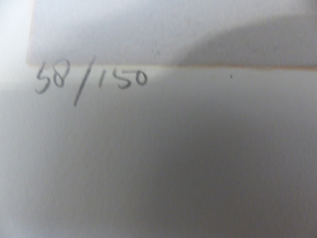 Ron v/d Werf,zeefdruk op papier met zwelinkt, Terra 2,Handgesigneerd kopen? Bied vanaf 50!