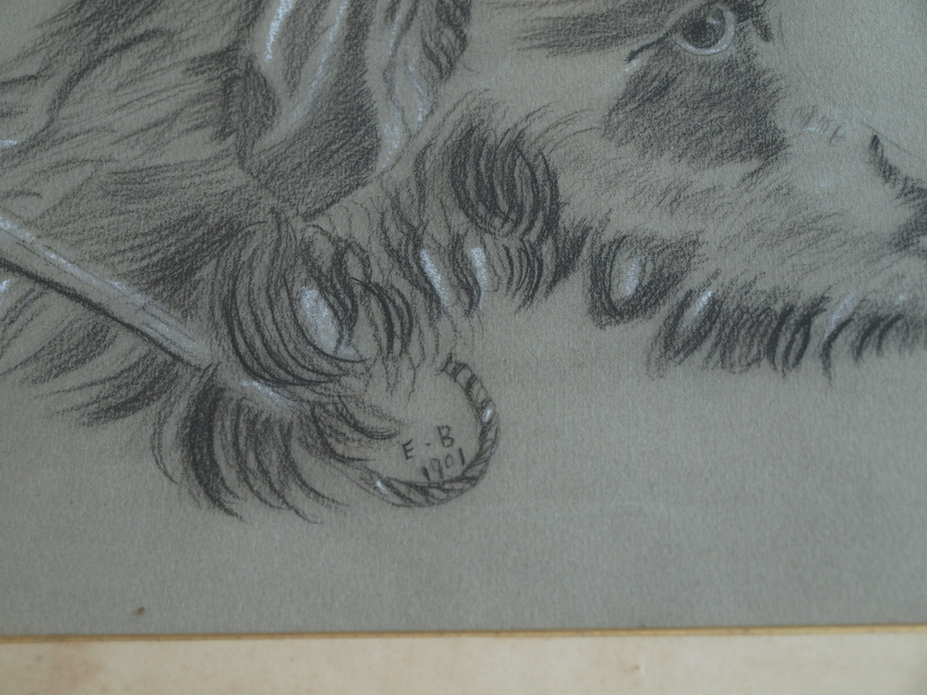 Initialen E. B.  : Tekening ,  Hond – ingelijst - 1901 kopen? Bied vanaf 1!