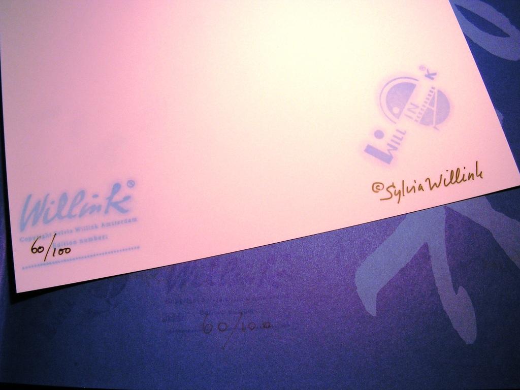 Carel Willink - Een eeuw Willink - 2000 - oplage 100 exemplaren! kopen? Bied vanaf 60!