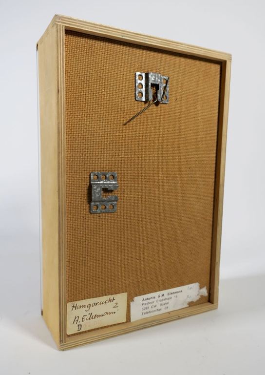 Antonie Eikemans: Bronzen beeld in kist, Hangvrucht kopen? Bied vanaf 1!