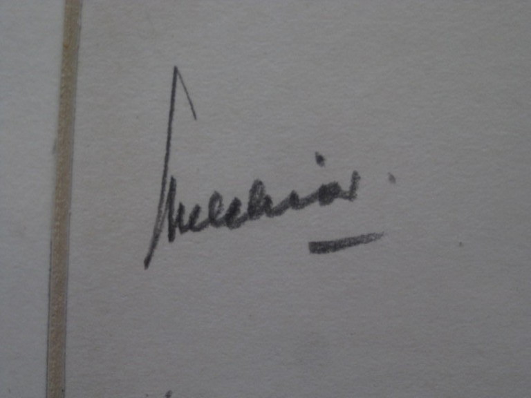 oude pasteltekening "Balonrace 's Hertogenbosch 8 mei 1955"onduidelijk gesigneer kopen? Bied vanaf 1!