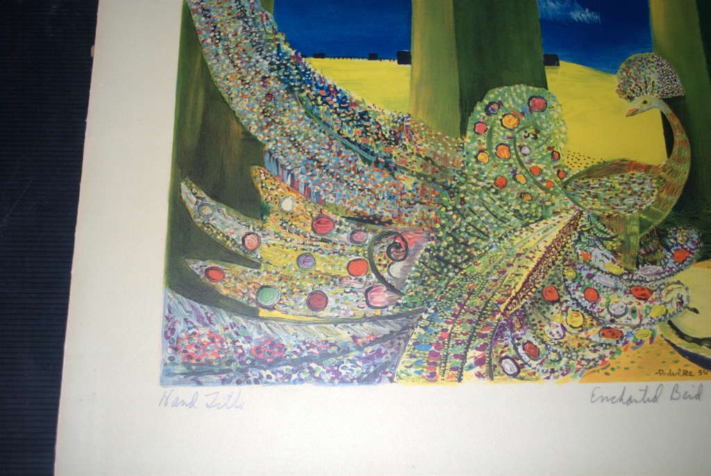 Enchanted bird - litho 1956 kopen? Bied vanaf 39!