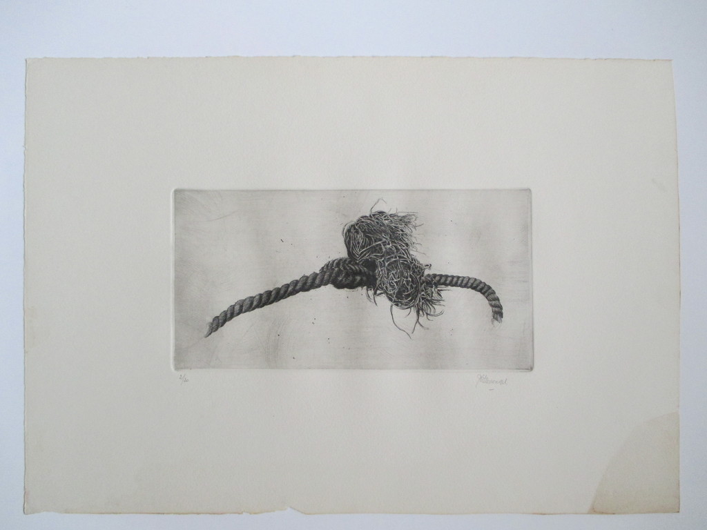 Wittevrongel, ets kopen? Bied vanaf 30!