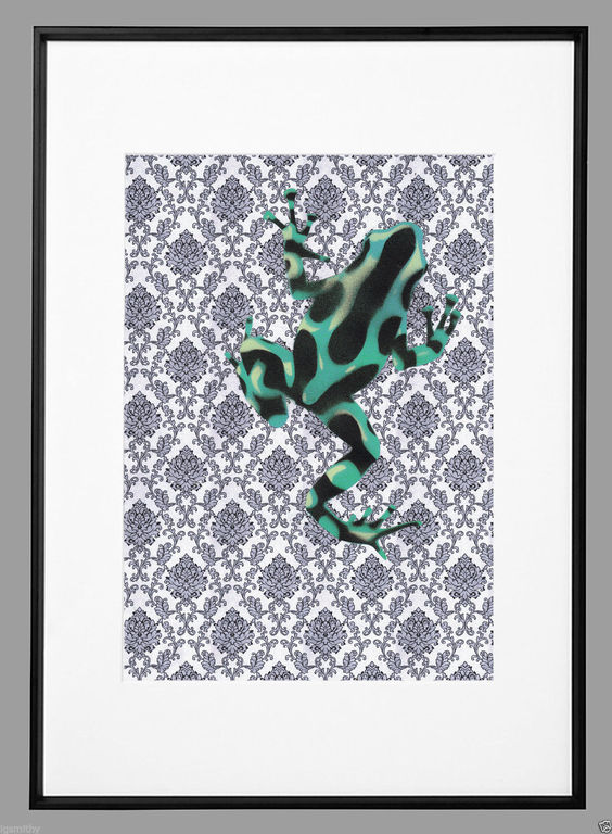 Iggy S.  kopen? Bied vanaf 1!