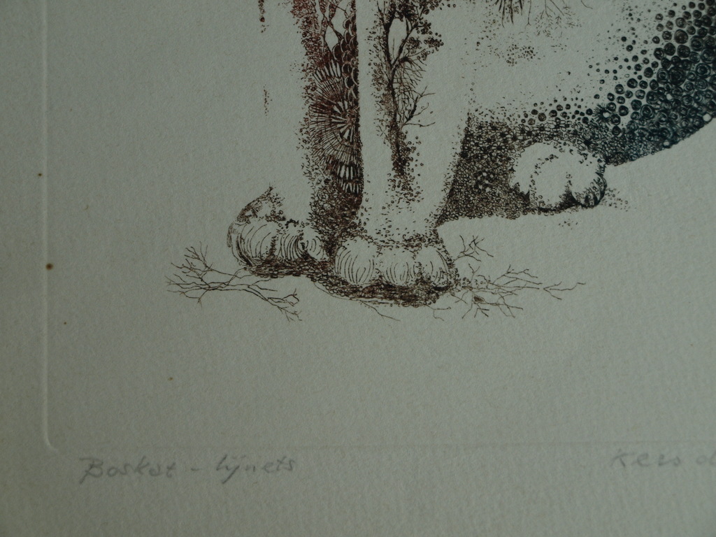 Kees de Ruijter : Ets , Boskat – gesigneerd – 1979 – oplage 50 ex. kopen? Bied vanaf 10!