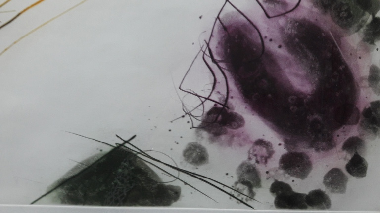 Ger Lataster,  Gesigneerd , zeefdruk  kopen? Bied vanaf 35!