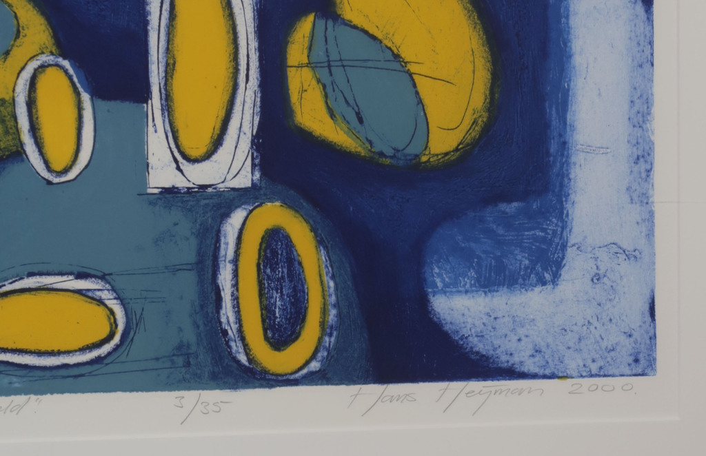 Hans Heijman: Ets, Reis in de binnenwereld - Ingelijst kopen? Bied vanaf 35!