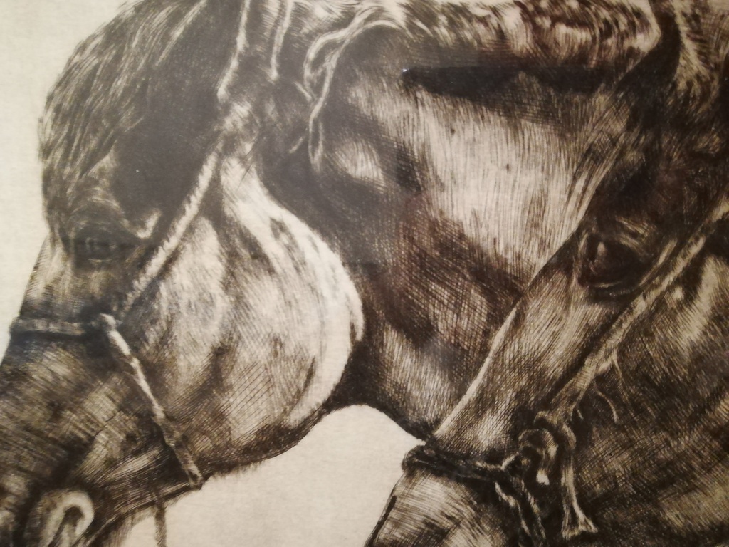 oude houtskool tekening - onbekend kunstenaar - paarden hoofden  kopen? Bied vanaf 20!