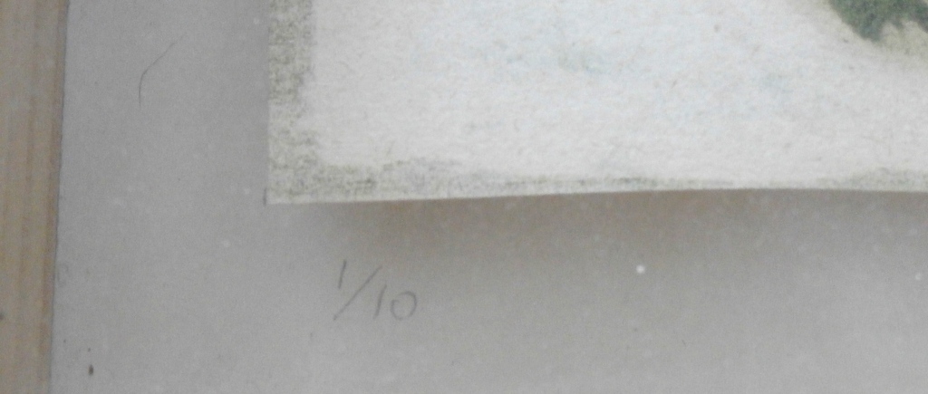 Sjoerd Hofstra - 3 dimensionele litho - oplage 10 kopen? Bied vanaf 55!
