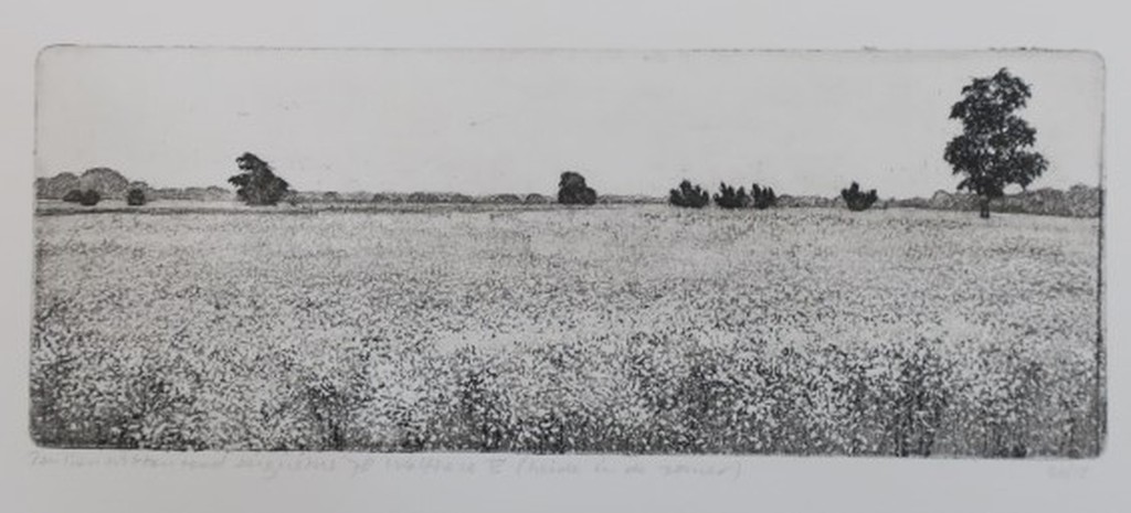 Paulien Wittenrood: Ets, Wolfheze V (heide in de zomer) verkocht voor € 35!