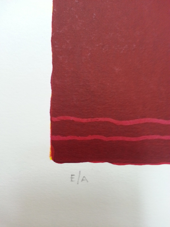 Ronald Boonacker, zeefdruk op papier, titel;" Mahe, seychelles I" kopen? Bied vanaf 50!