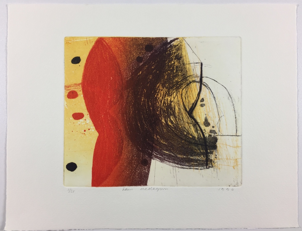 Hans Vredegoor, kleurenets, KLEINE OPLAGE, 1996 kopen? Bied vanaf 59!