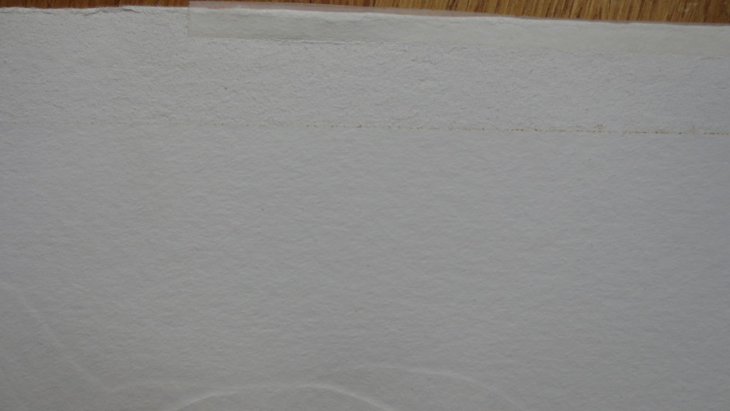 LEENTJE LINDERS  KLEURENETS  "BOB IS TAKING THE PLUNGE BACKWARDS" kopen? Bied vanaf 35!