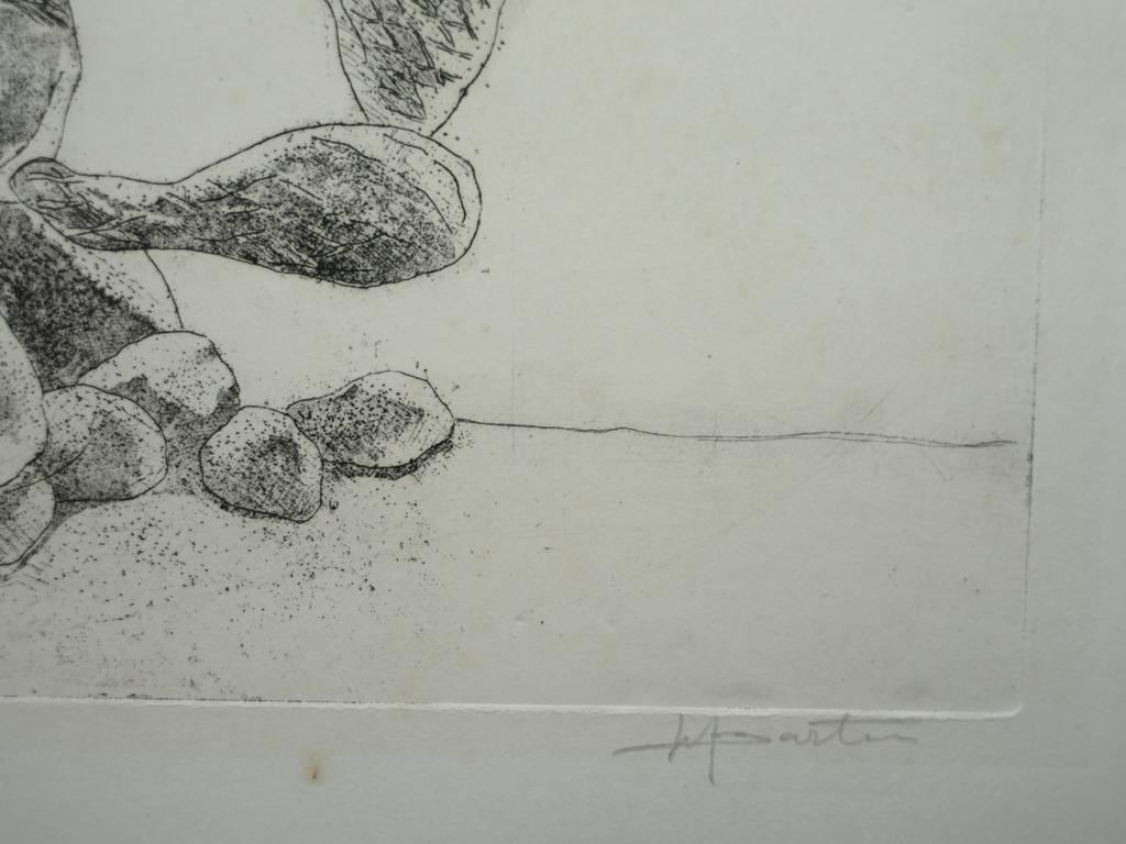 Walter Barten : Ets , De cactussen – gesigneerd – ca 1980 kopen? Bied vanaf 1!